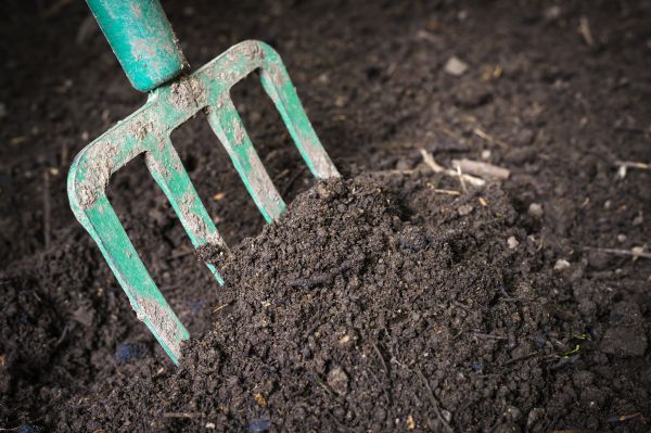 Topsoil Spreading in Appleton