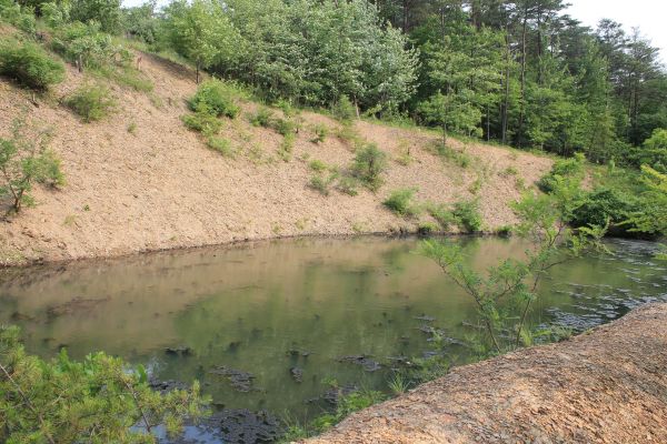 Cost of Pond Erosion Repair in Appleton