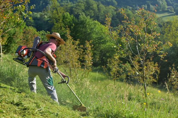 Slope Trimming in Appleton